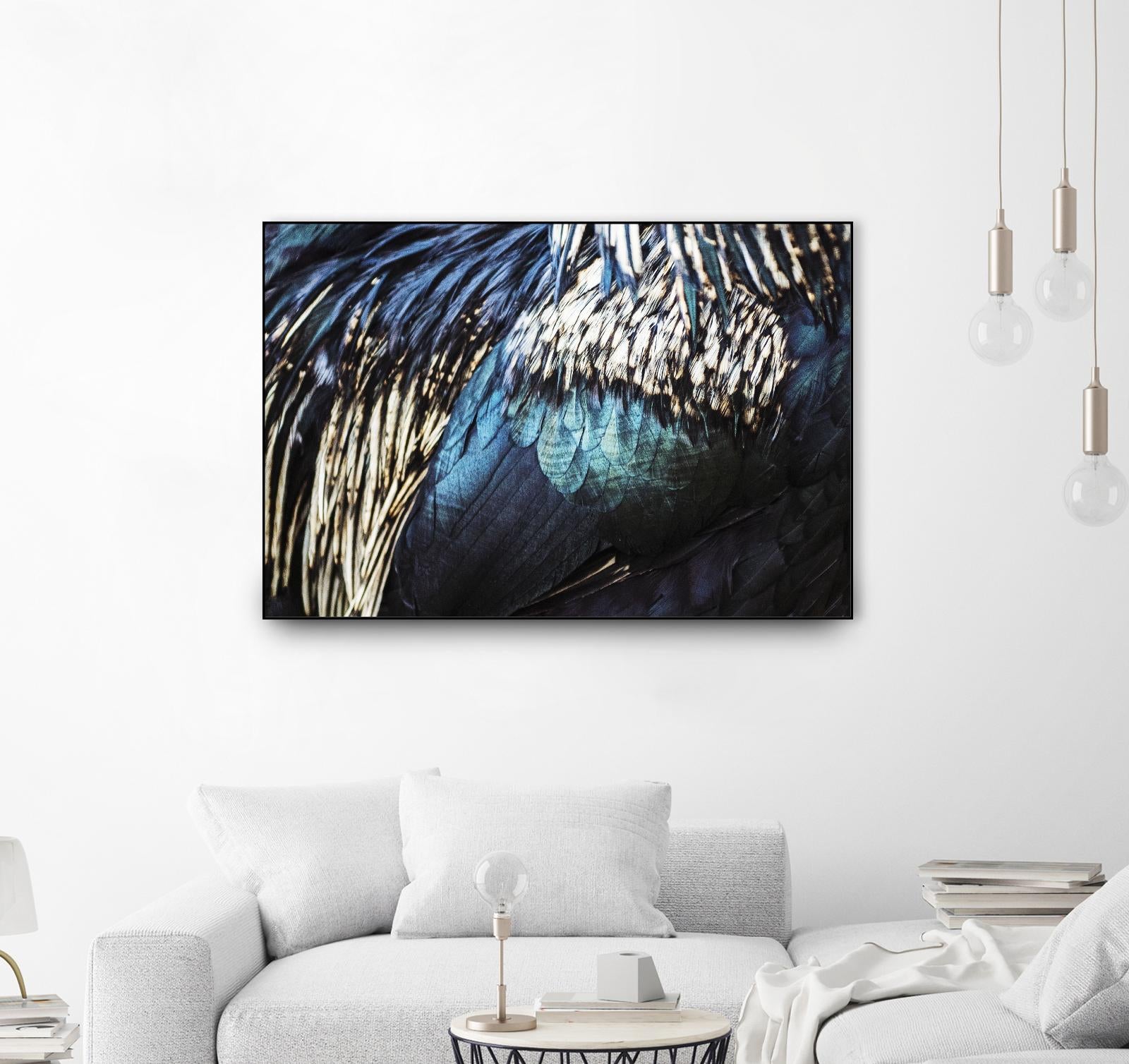 Blue feathers by Pexels on GIANT ART - white animals