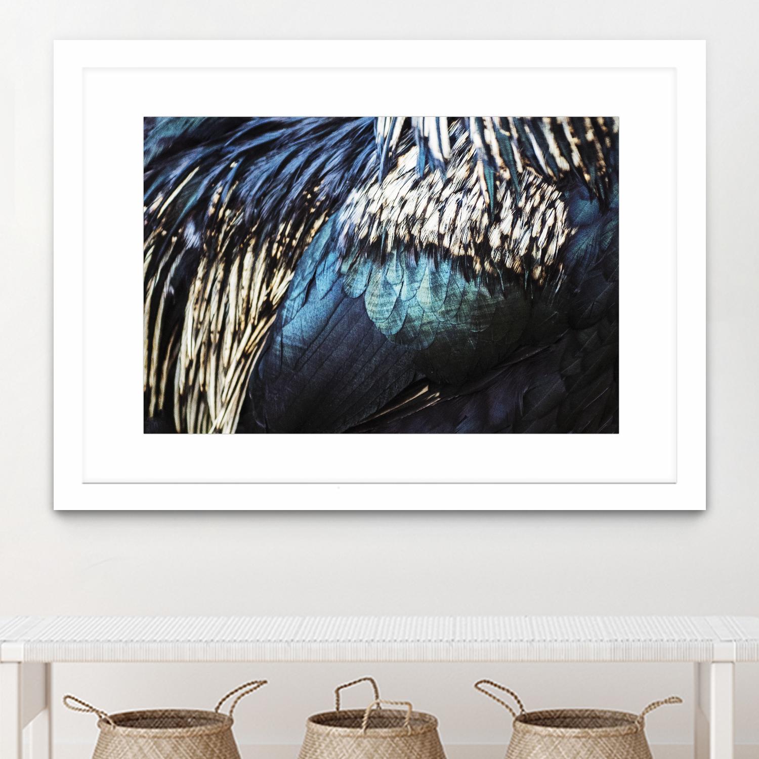 Blue feathers by Pexels on GIANT ART - white animals