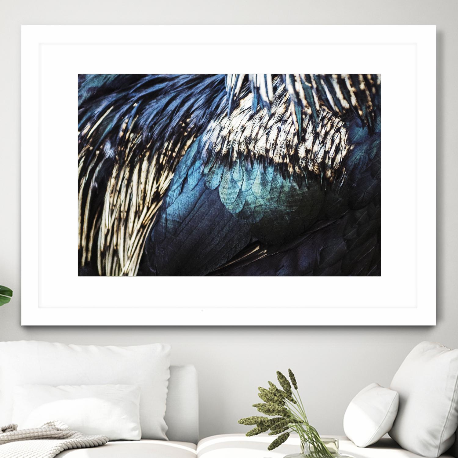 Blue feathers by Pexels on GIANT ART - white animals