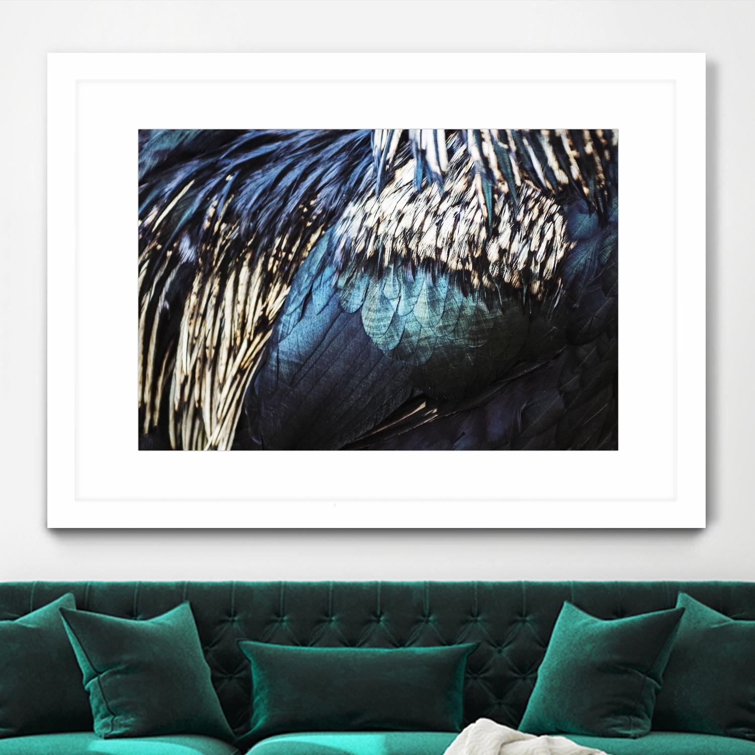 Blue feathers by Pexels on GIANT ART - white animals