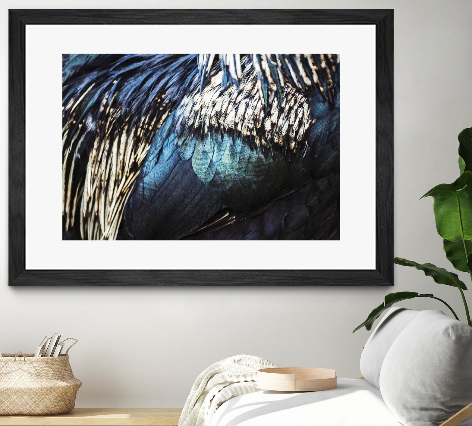 Blue feathers by Pexels on GIANT ART - white animals