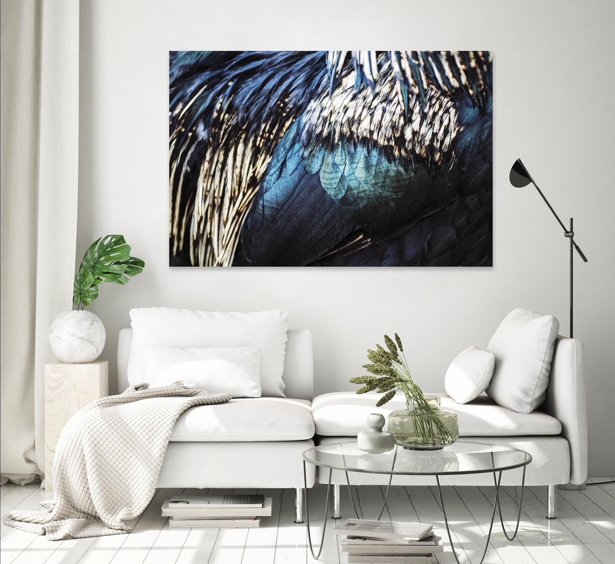 Blue feathers by Pexels on GIANT ART - white animals