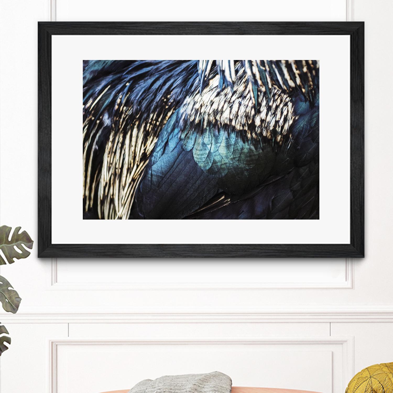 Blue feathers by Pexels on GIANT ART - white animals