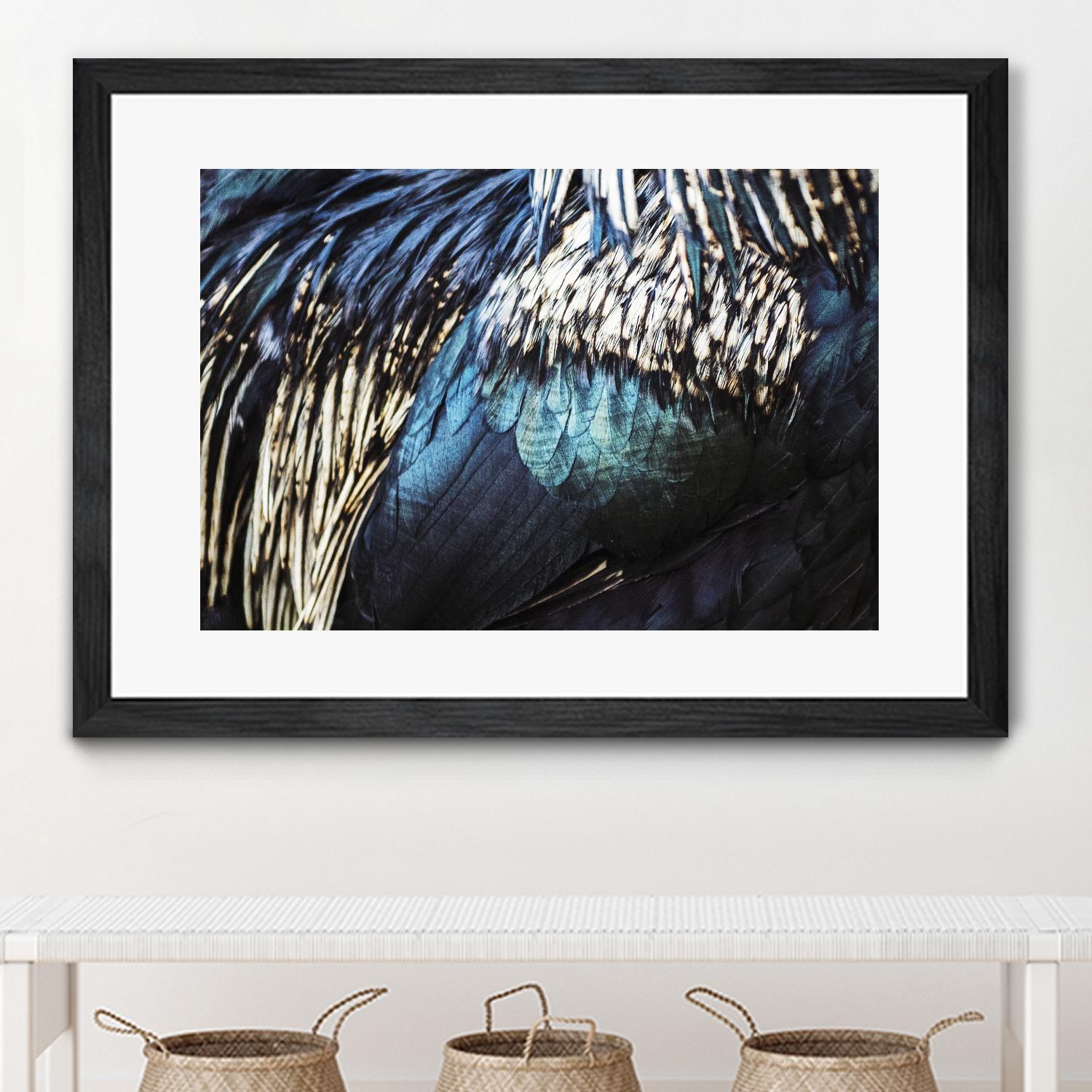 Blue feathers by Pexels on GIANT ART - white animals