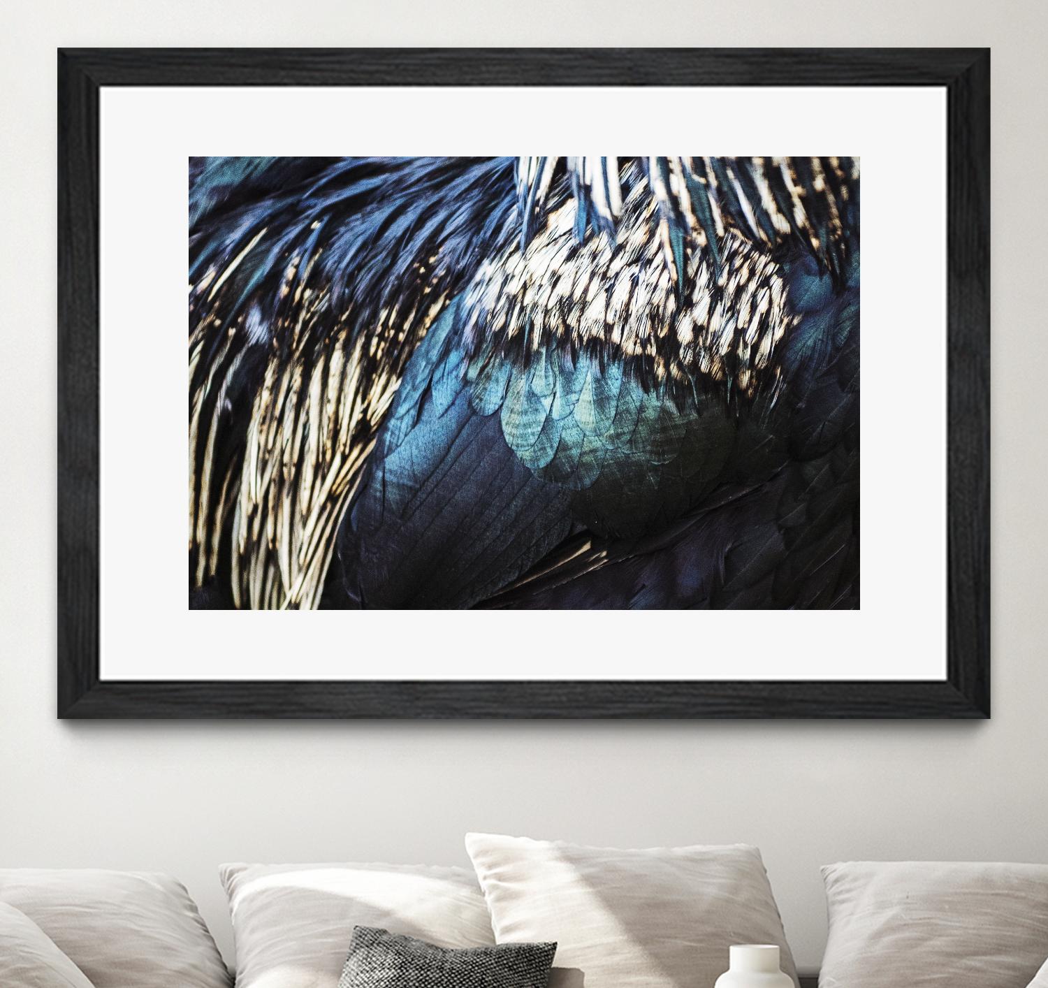 Blue feathers by Pexels on GIANT ART - white animals