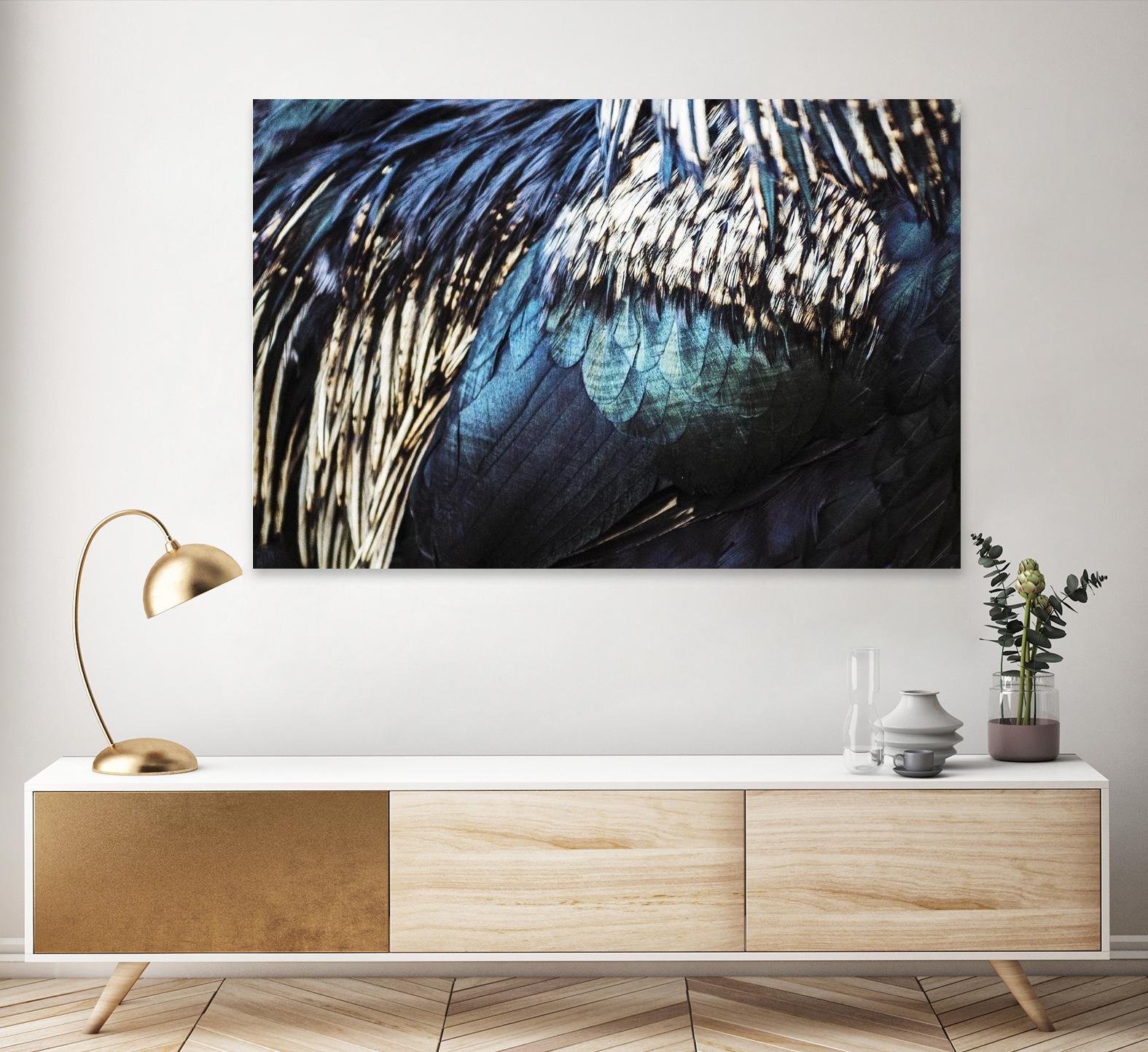 Blue feathers by Pexels on GIANT ART - white animals