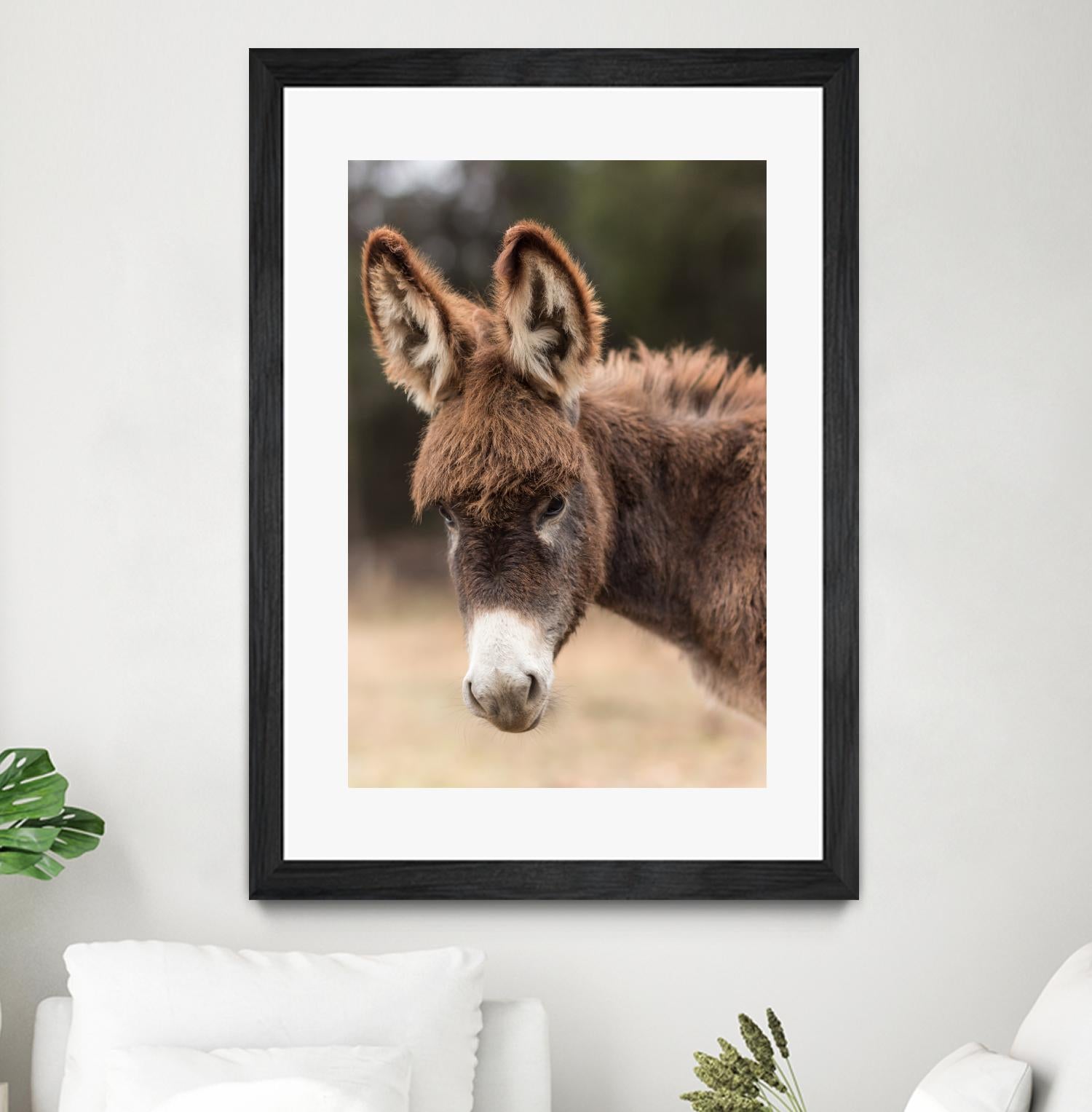 Donkey by Pexels on GIANT ART - white animals