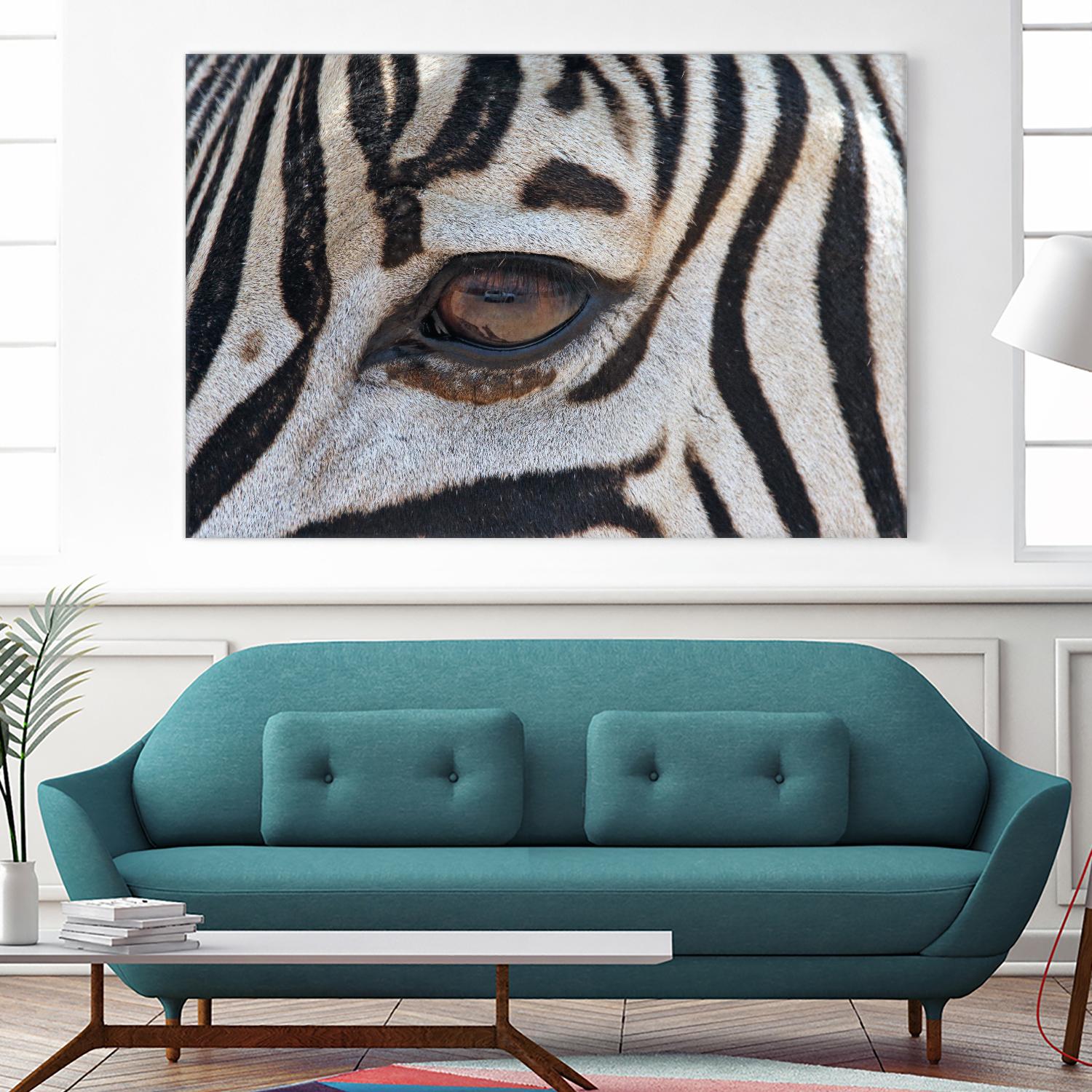 Zebra by Pexels on GIANT ART - white animals