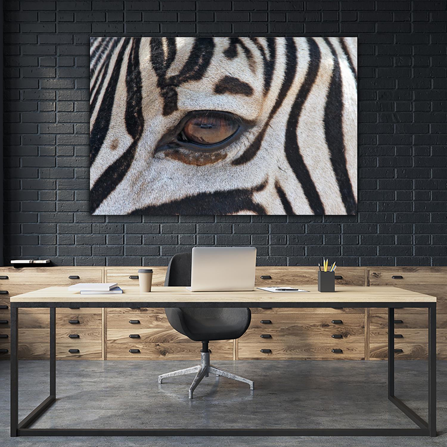 Zebra by Pexels on GIANT ART - white animals