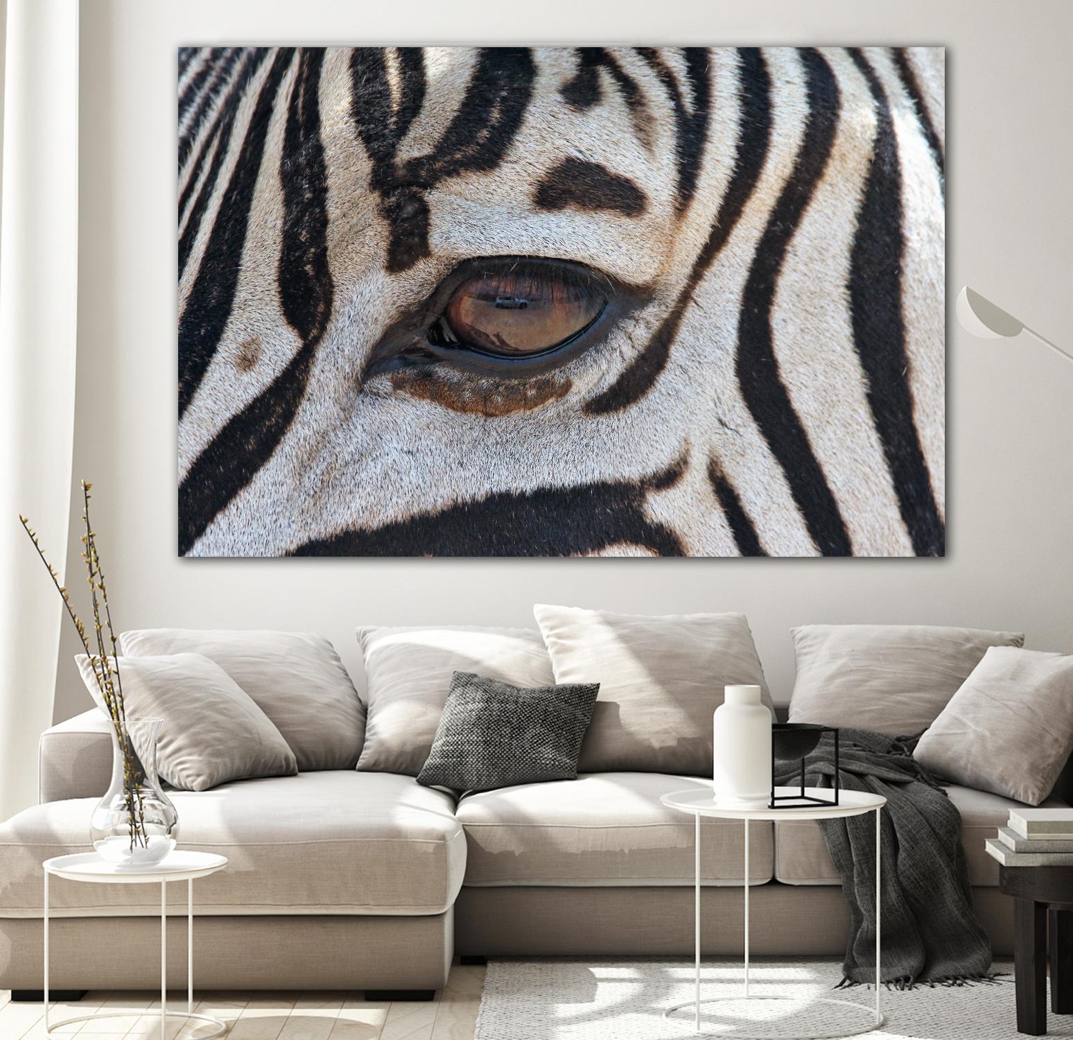 Zebra by Pexels on GIANT ART - white animals