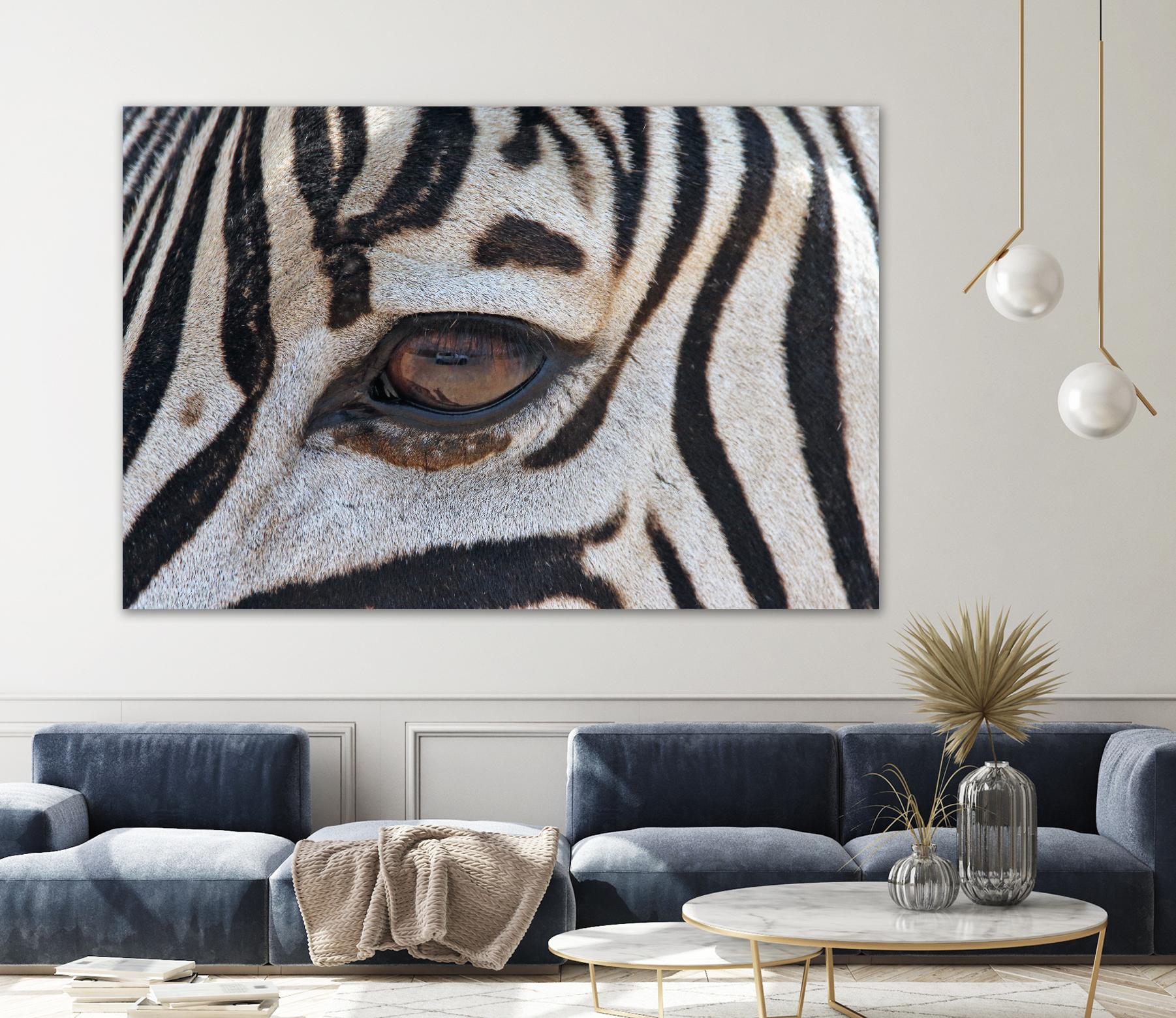 Zebra by Pexels on GIANT ART - white animals