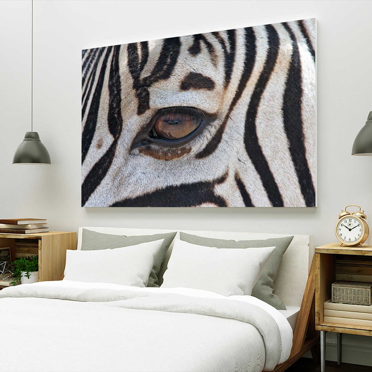 Zebra by Pexels on GIANT ART - white animals