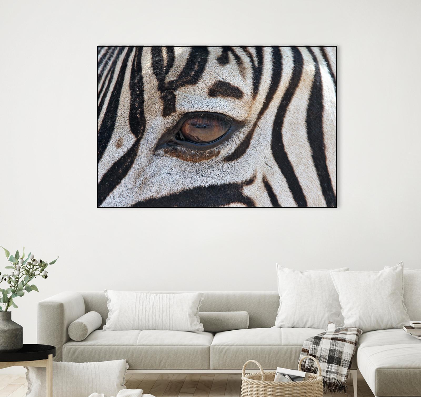 Zebra by Pexels on GIANT ART - white animals
