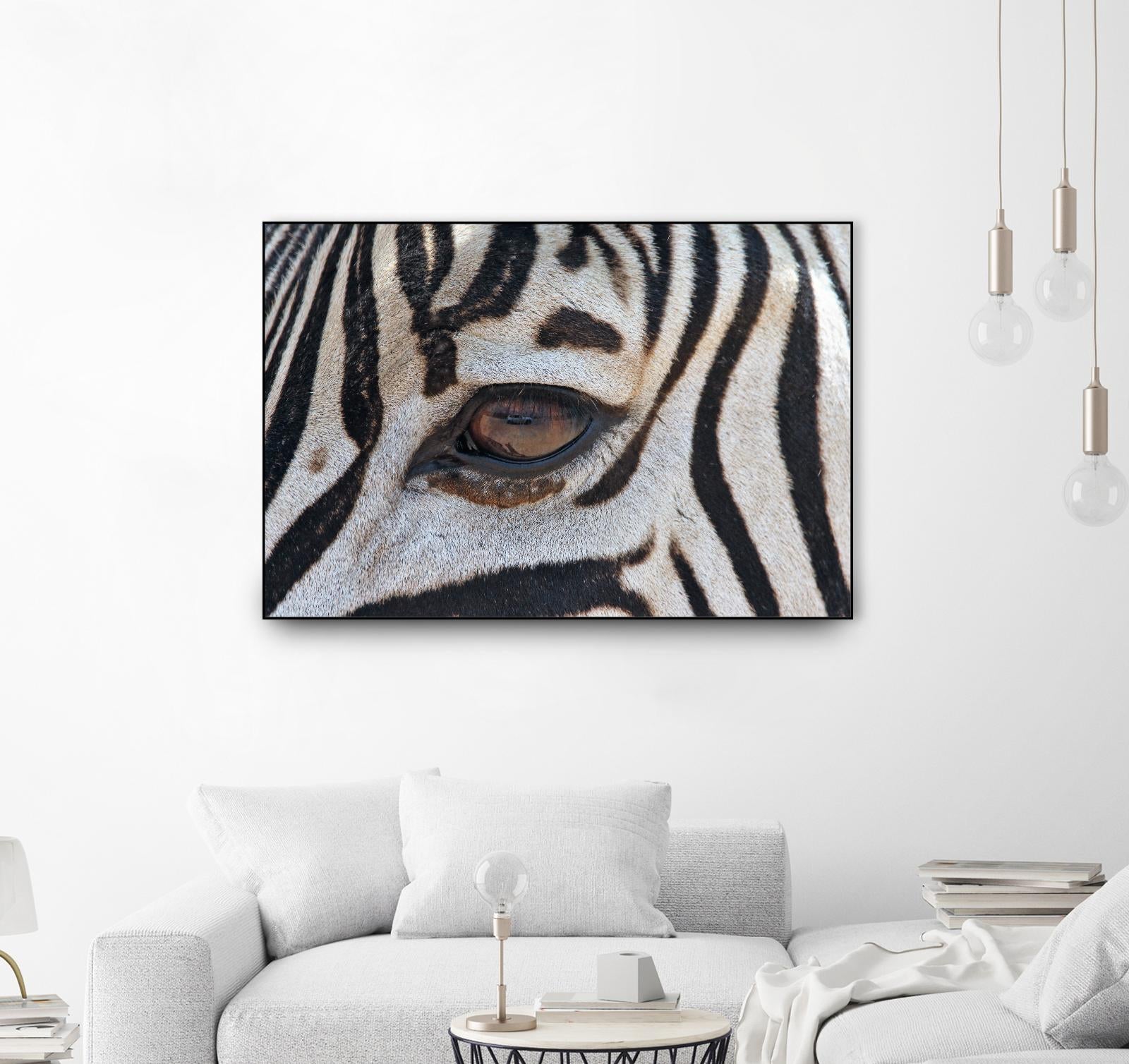 Zebra by Pexels on GIANT ART - white animals