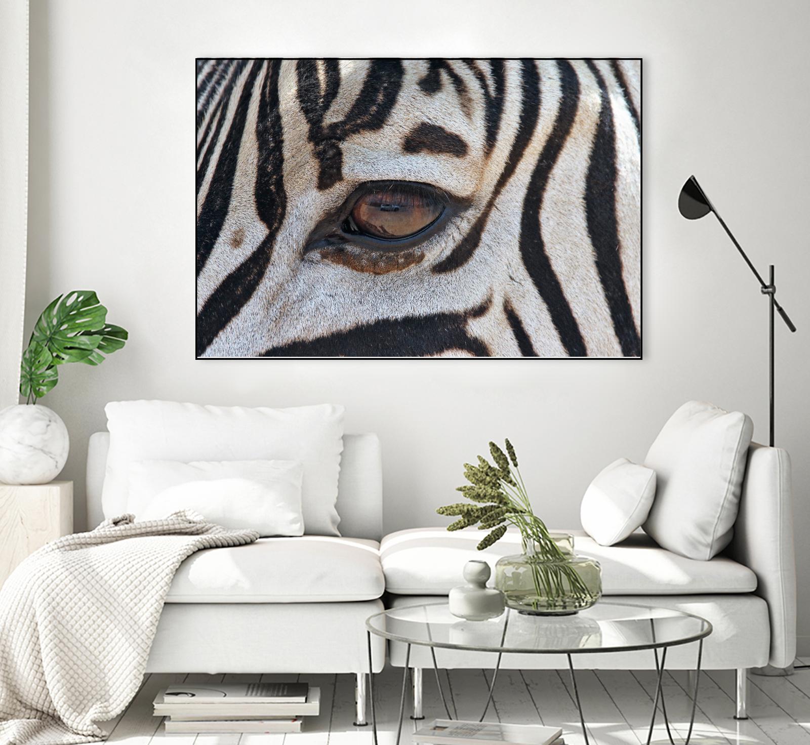 Zebra by Pexels on GIANT ART - white animals