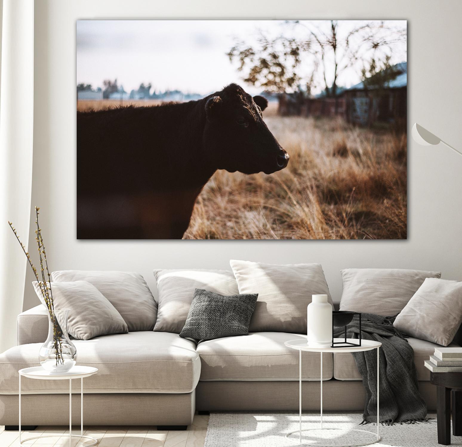 Cow by Pexels on GIANT ART - brown animals