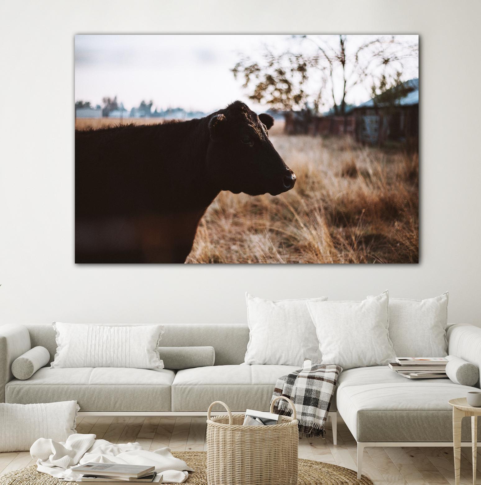 Cow by Pexels on GIANT ART - brown animals
