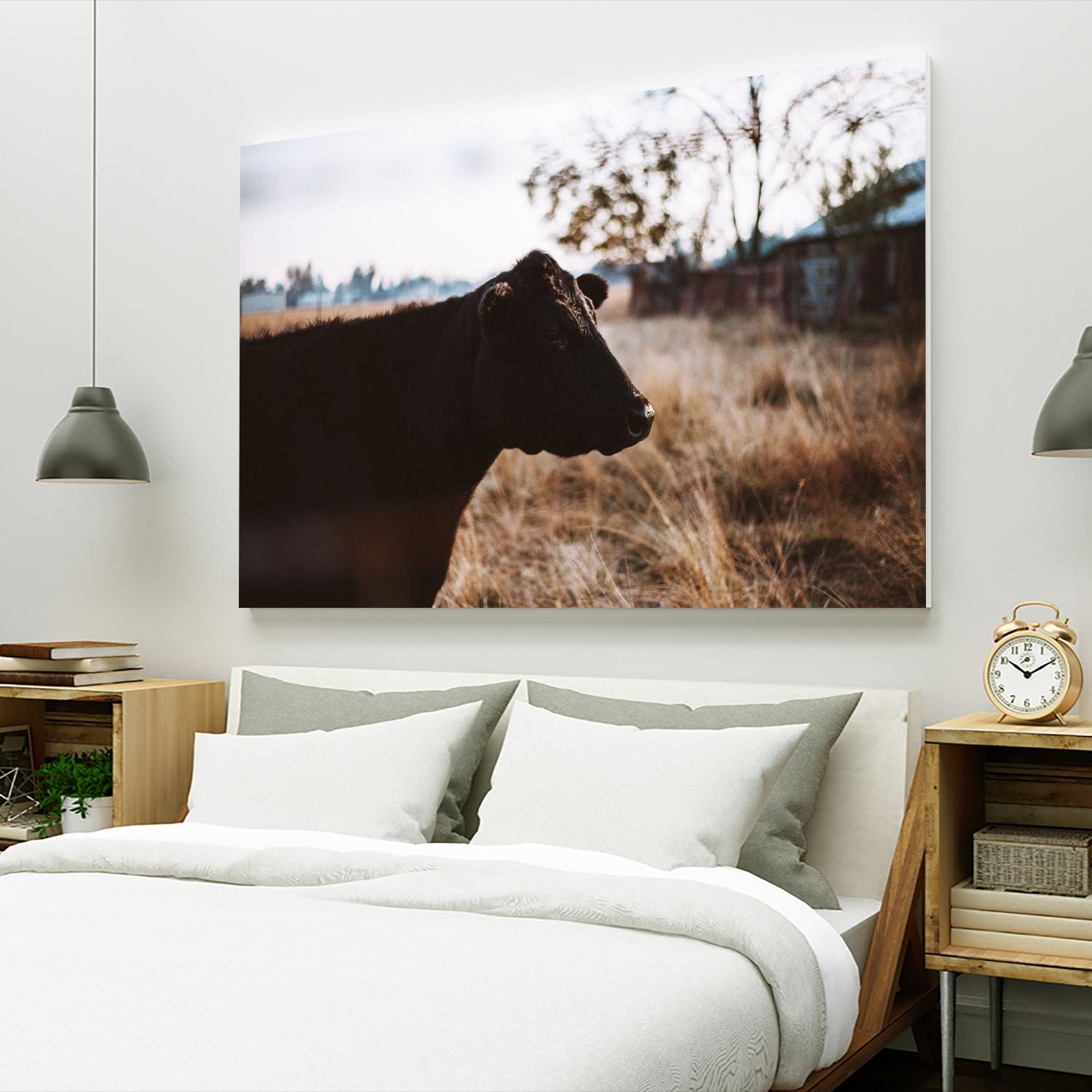 Cow by Pexels on GIANT ART - brown animals