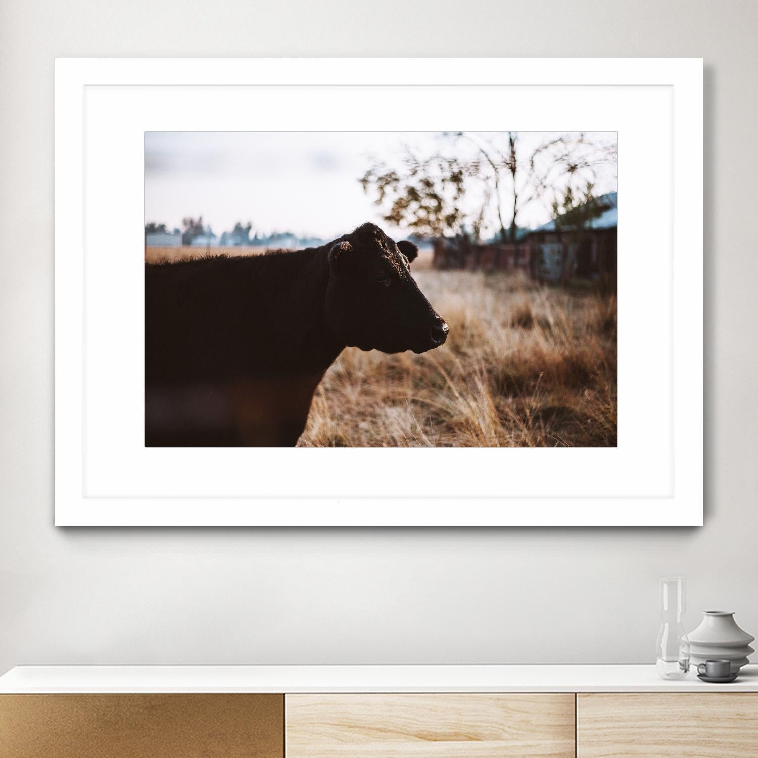Cow by Pexels on GIANT ART - brown animals