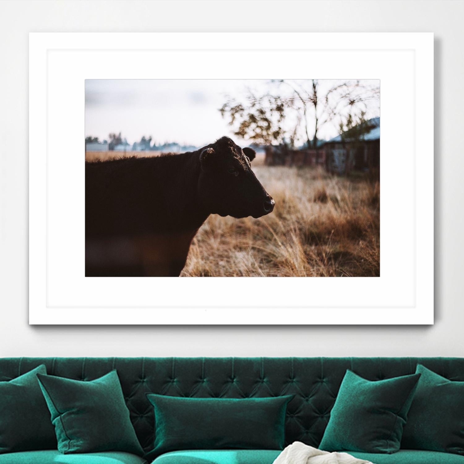 Cow by Pexels on GIANT ART - brown animals
