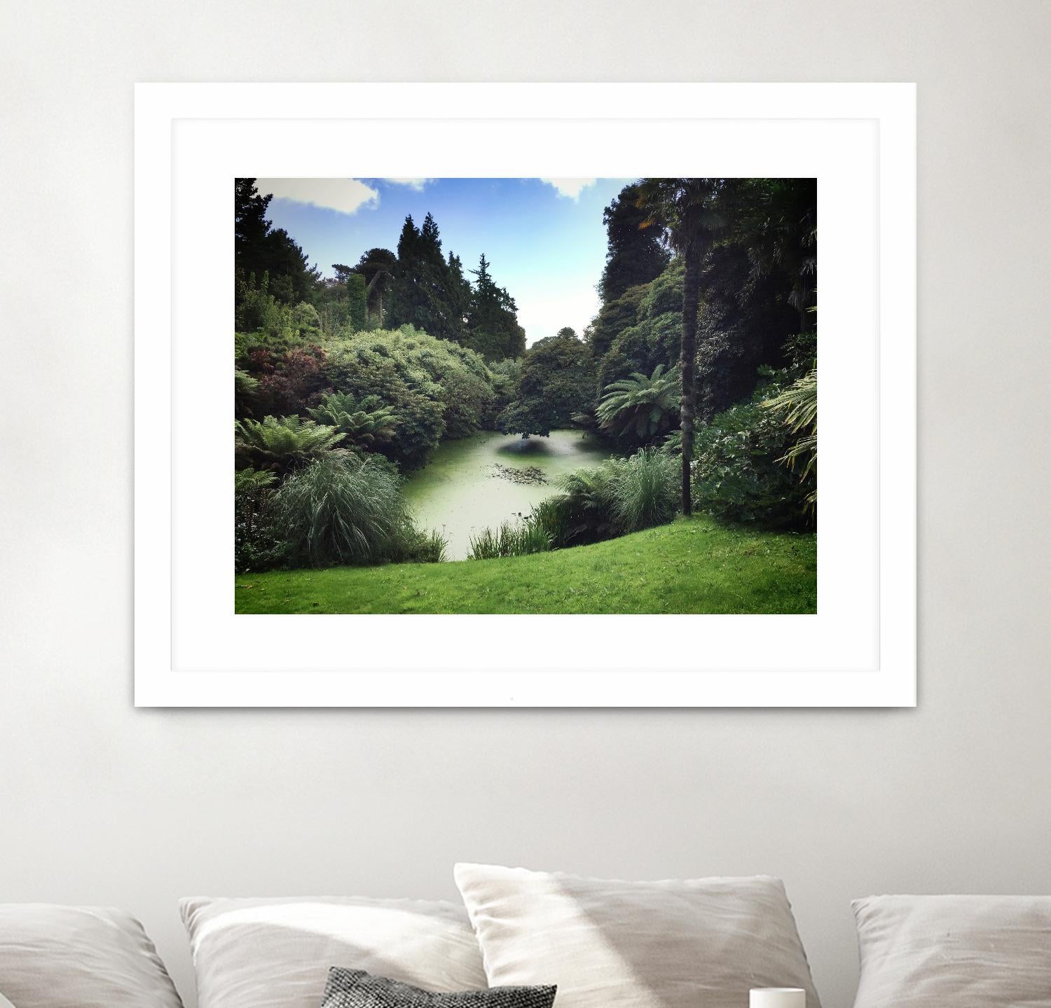 Swamp by Pexels on GIANT ART - green landscape