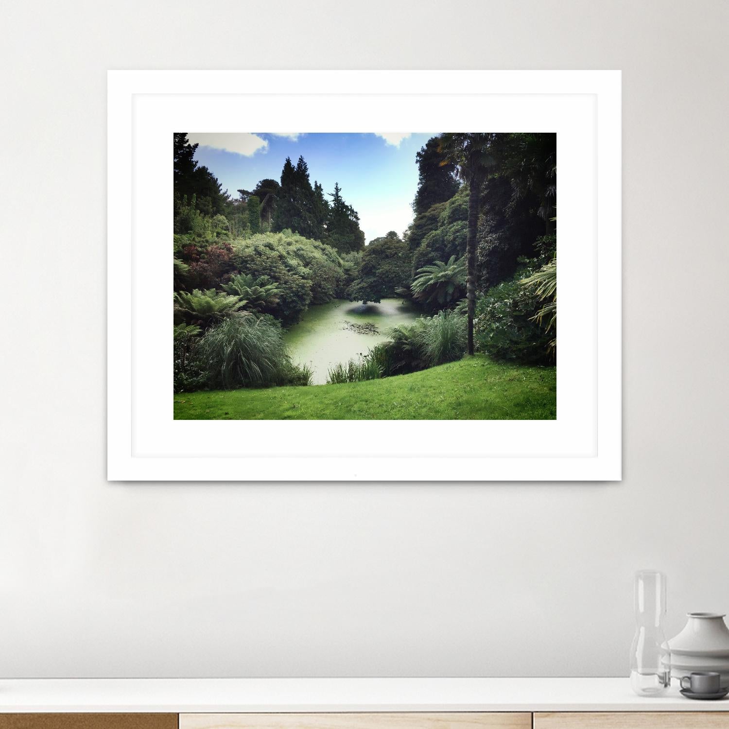 Swamp by Pexels on GIANT ART - green landscape