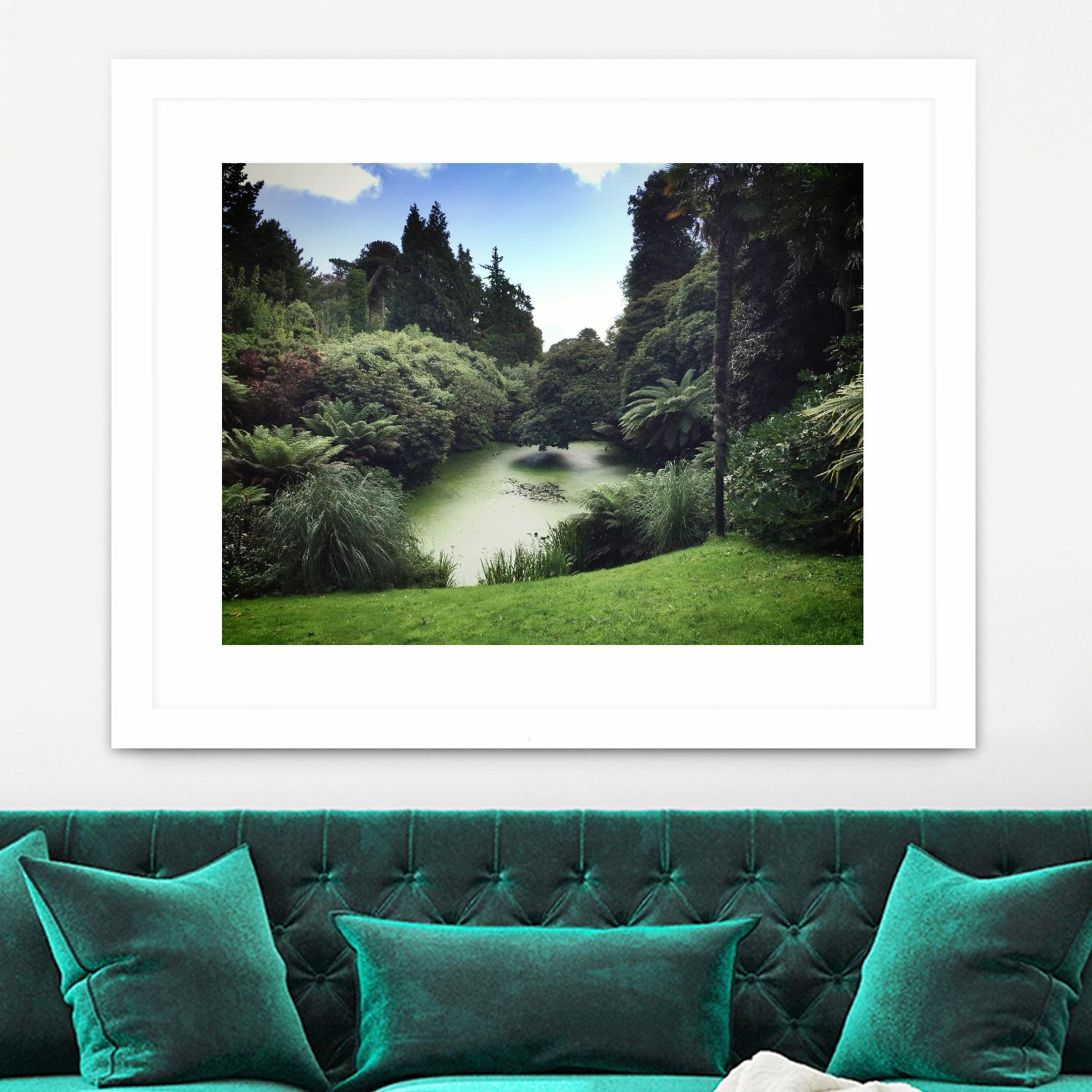 Swamp by Pexels on GIANT ART - green landscape