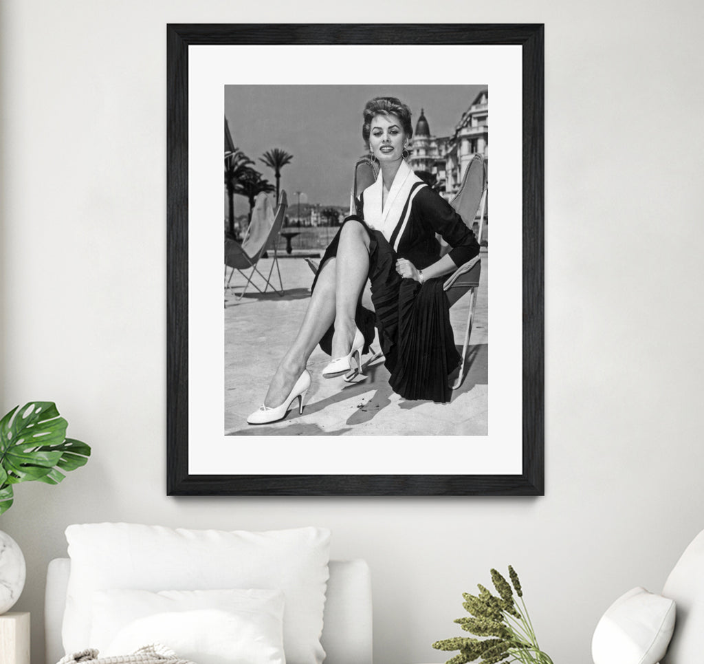Sophia Loren at Cannes Festival 1954 by Bridgeman Images on GIANT ART - black and white photo