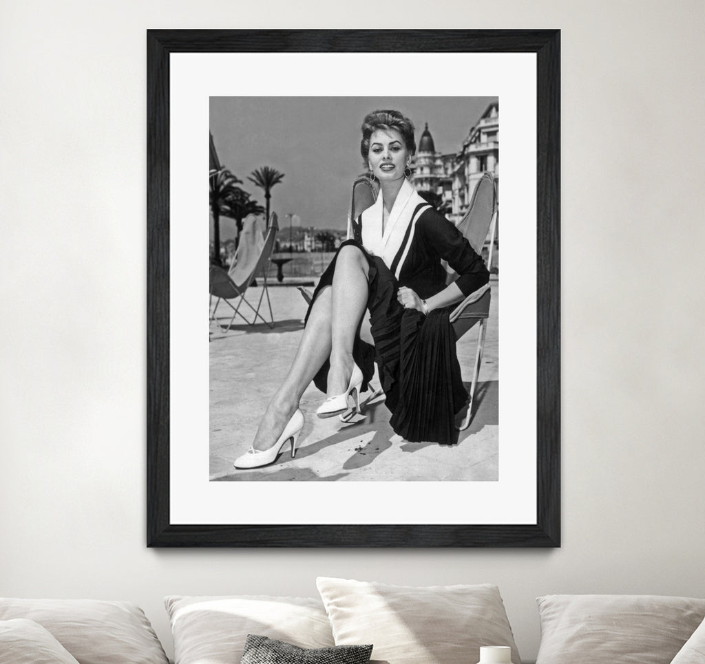 Sophia Loren at Cannes Festival 1954 by Bridgeman Images on GIANT ART - black and white photo