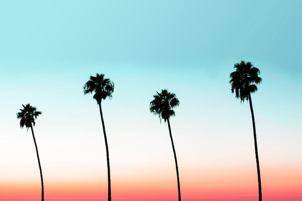 Sunset-Boulevard by 83 oranges on GIANT ART - orange digital palm tree