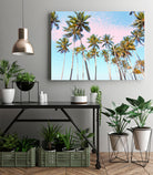 Coconut Palms by 83 Oranges on GIANT ART - bleu digital sky