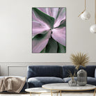 Agave by Caterina Lo Cicero on GIANT ART - pink pink