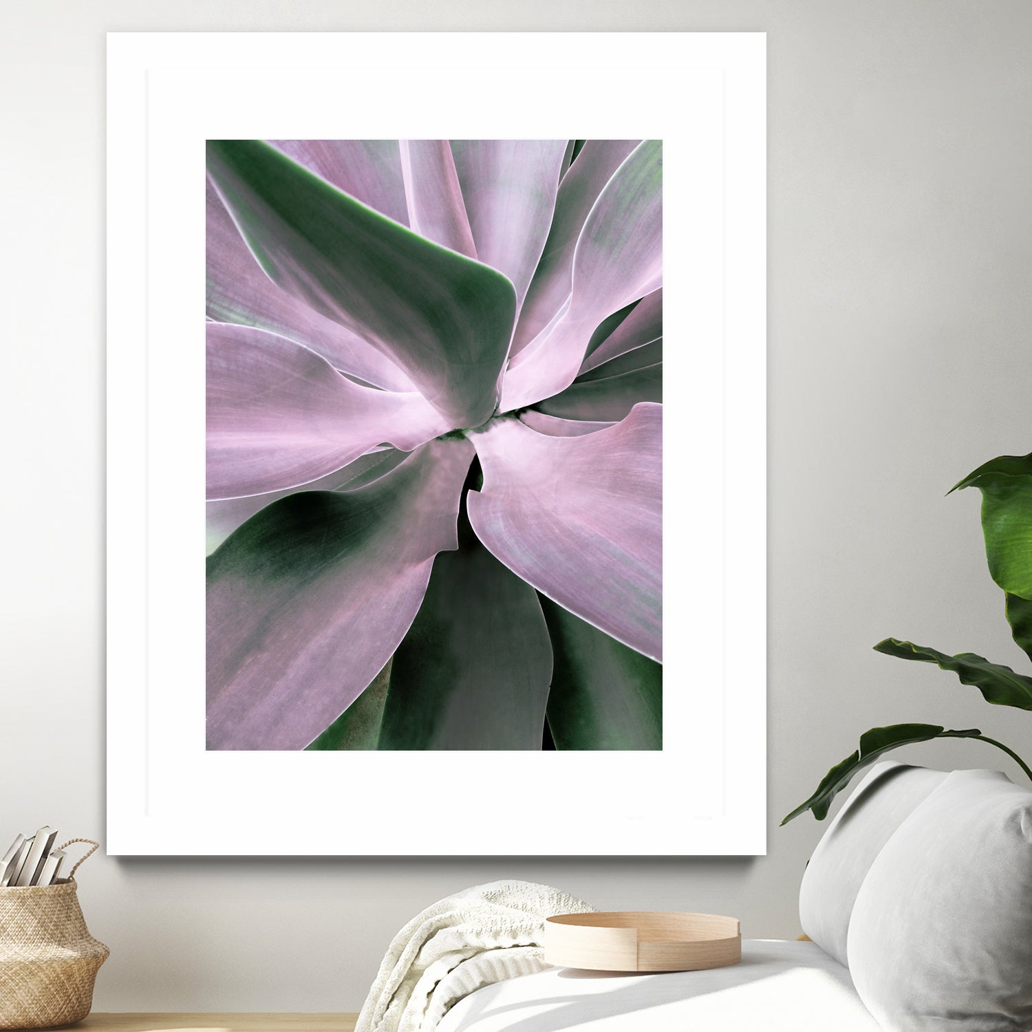 Agave by Caterina Lo Cicero on GIANT ART - pink pink