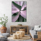 Agave by Caterina Lo Cicero on GIANT ART - pink pink