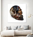 Skull by Caterina Lo Cicero  on GIANT ART