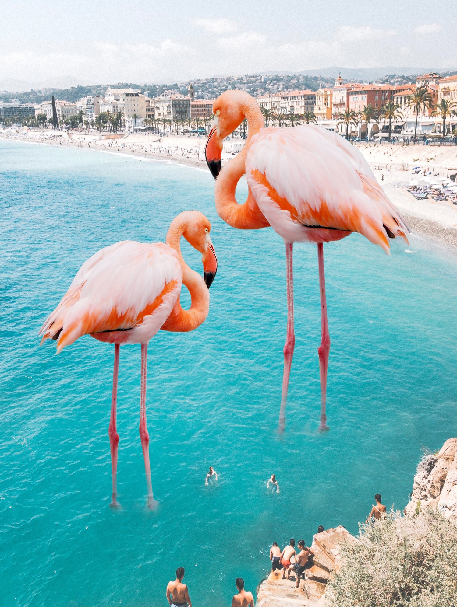 Flamingo on City Beach by Creativeaxle on GIANT ART