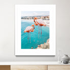 Flamingo on City Beach by Creativeaxle on GIANT ART