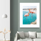 Flamingo on City Beach by Creativeaxle on GIANT ART