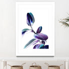 Minimal Rubber foliage in Blue and Purple on White by Dominique Vari on GIANT ART