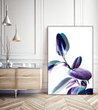 Minimal Rubber foliage in Blue and Purple on White by Dominique Vari on GIANT ART