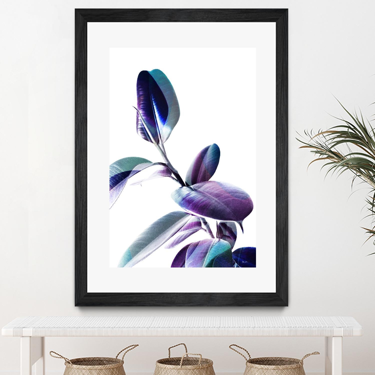 Minimal Rubber foliage in Blue and Purple on White by Dominique Vari on GIANT ART