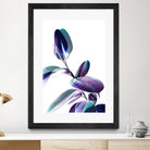 Minimal Rubber foliage in Blue and Purple on White by Dominique Vari on GIANT ART