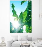 Banana Leaves Delight #1 #tropical #decor #art by Anita's & Bella's Art on GIANT ART