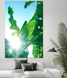 Banana Leaves Delight #1 #tropical #decor #art by Anita's & Bella's Art on GIANT ART