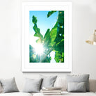 Banana Leaves Delight #1 #tropical #decor #art by Anita's & Bella's Art on GIANT ART