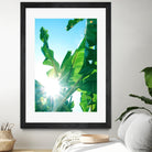 Banana Leaves Delight #1 #tropical #decor #art by Anita's & Bella's Art on GIANT ART