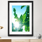 Banana Leaves Delight #1 #tropical #decor #art by Anita's & Bella's Art on GIANT ART