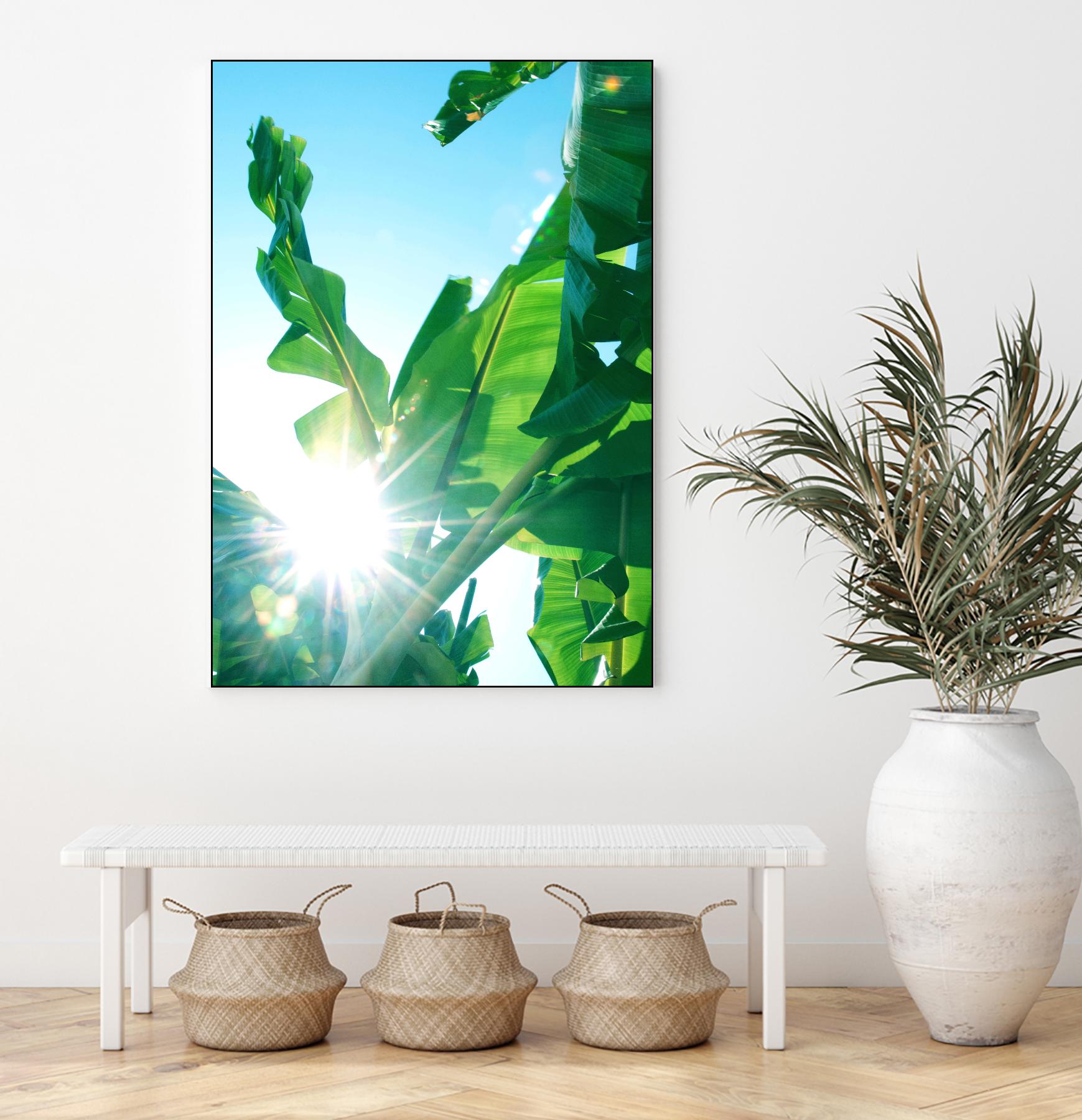 Banana Leaves Delight #1 #tropical #decor #art by Anita's & Bella's Art on GIANT ART