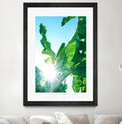 Banana Leaves Delight #1 #tropical #decor #art by Anita's & Bella's Art on GIANT ART