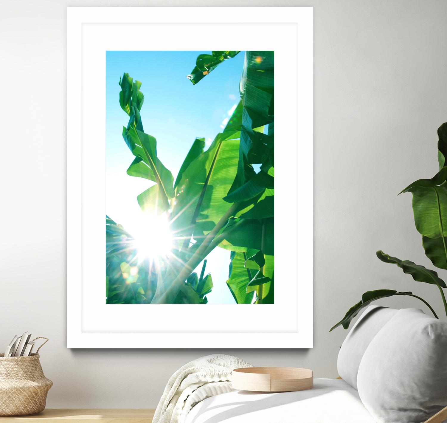 Banana Leaves Delight #1 #tropical #decor #art by Anita's & Bella's Art on GIANT ART